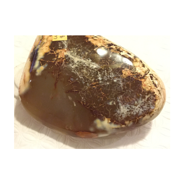 Agate W55A