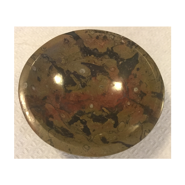 Fossil Bowl KK427