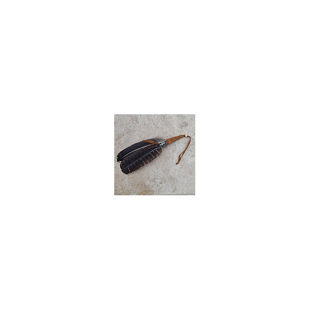Smudge Feather Q242b