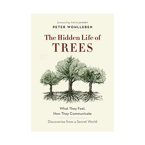 HIDDEN LIFE OF TREES