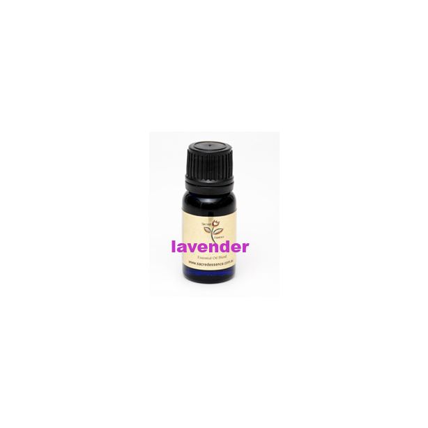 lavender essential oil