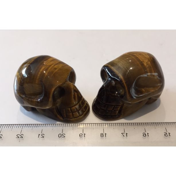 Tigers Eye Skull CC328