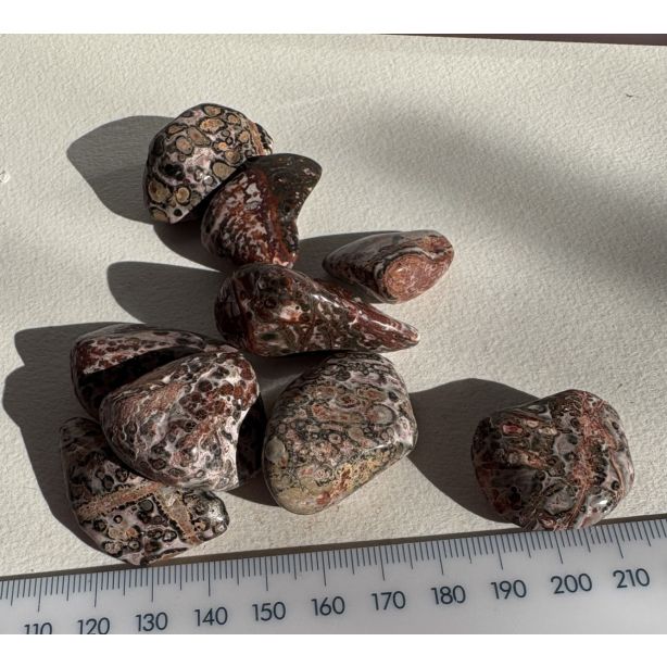 Leopard Skin Jasper Tumbled Stone CC695