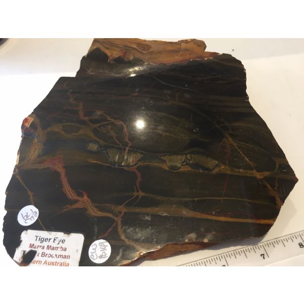 Tiger Eye CW179