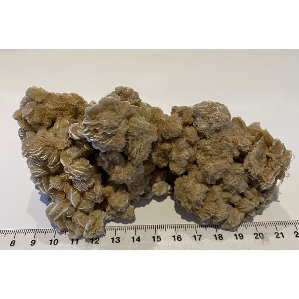 Selenite Desert Rose CW302