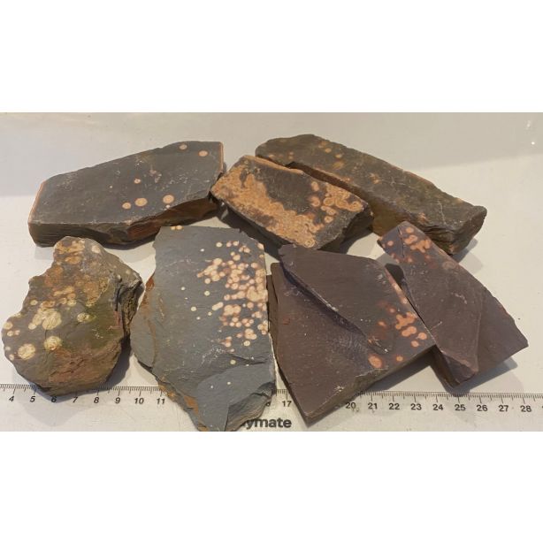 Astronomite pieces CW429