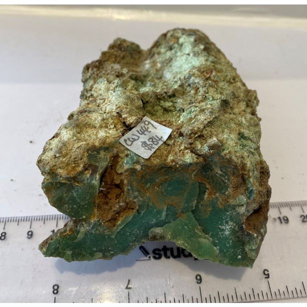 Chrysoprase Rough CW449