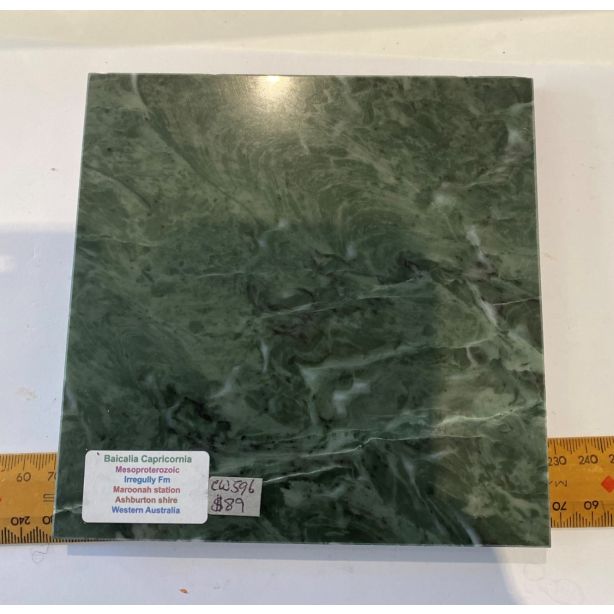 Stromatolite Baicalia Capricornia CW596