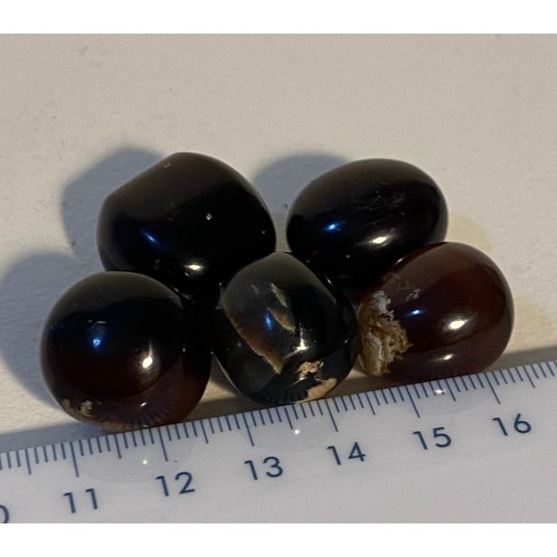 Blue Browm Amber  CW735