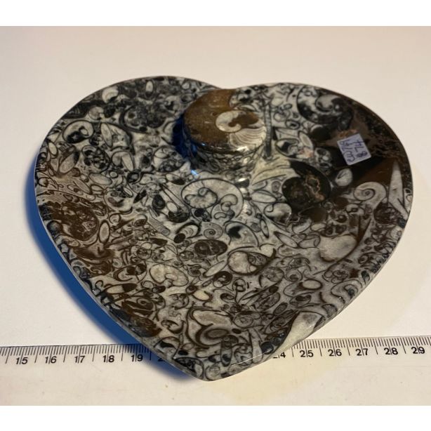 Orthoceras Heart Plate CW749