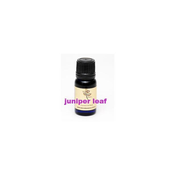 juniper leaf essential oil