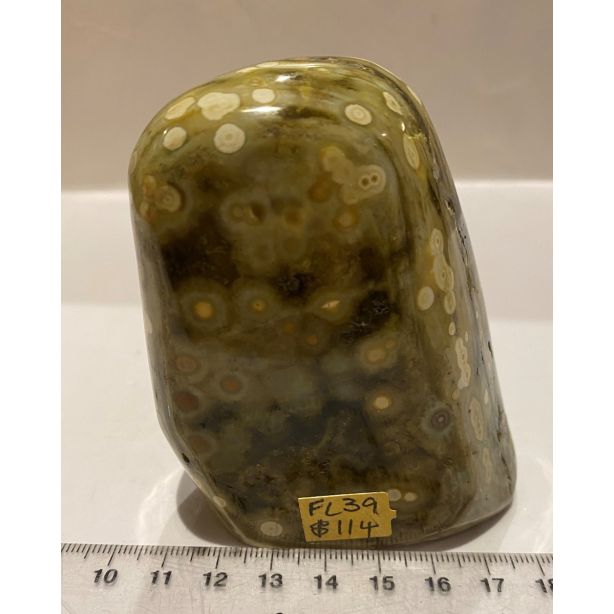Ocean Jasper FL39