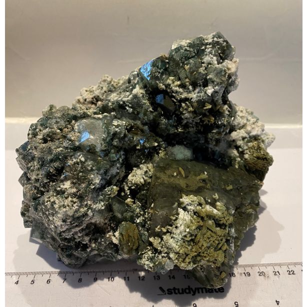 Marshy Apophyllite Cluster Natural Chlorite FL52