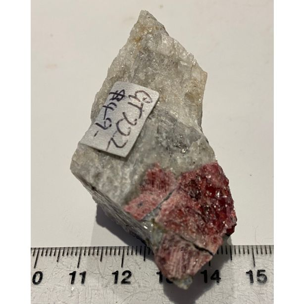 Eudialyte Rough GT222