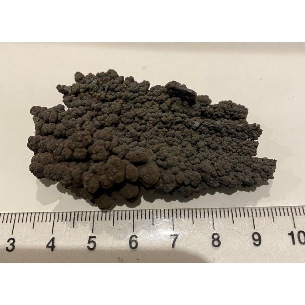 Botryoidal Goethite GT451