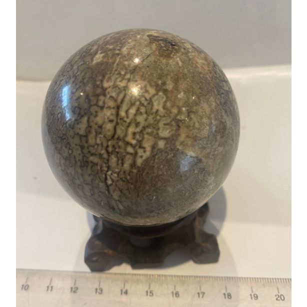 Fossil Dinosaur Bone MM852