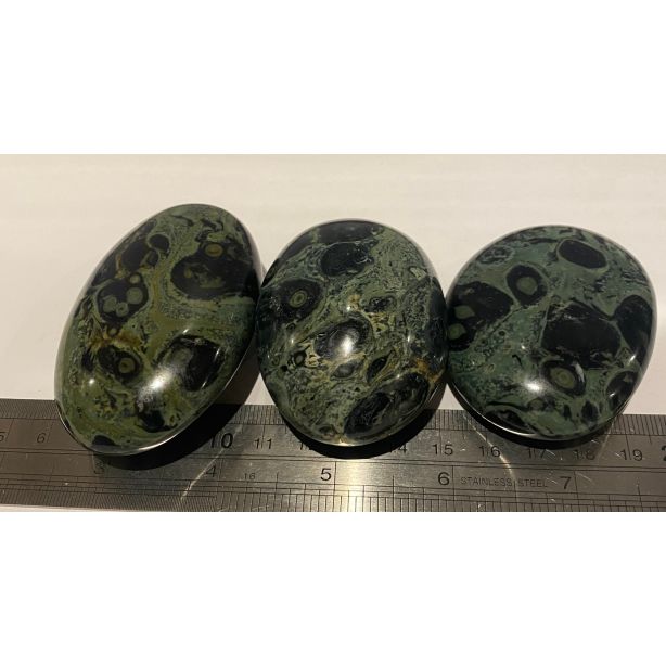 Kambaba Jasper Palm Stones MM861