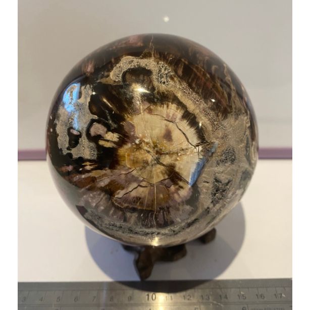 Petrified Wood Sphere MM863