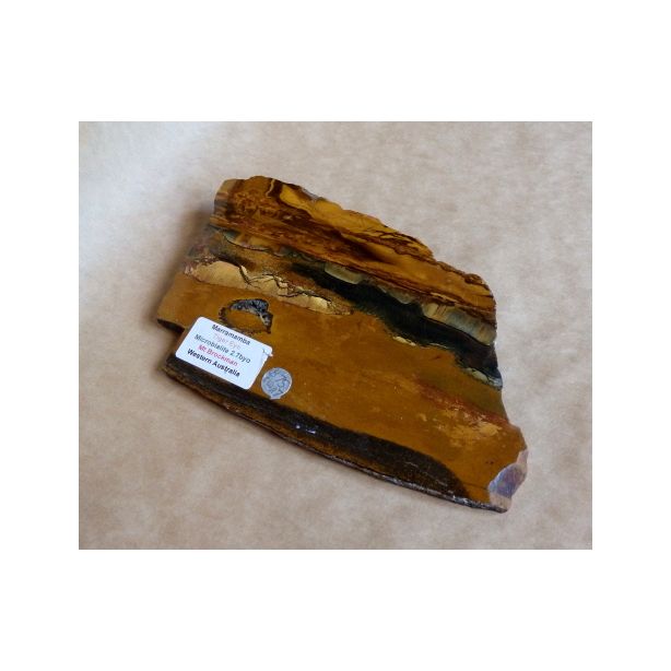Tiger Eye CW27