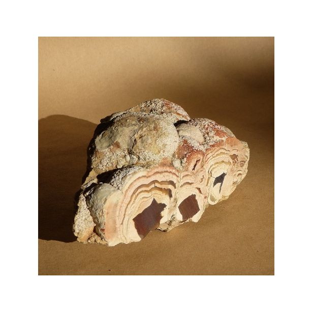 Agate PL14