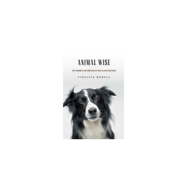Animal Wise