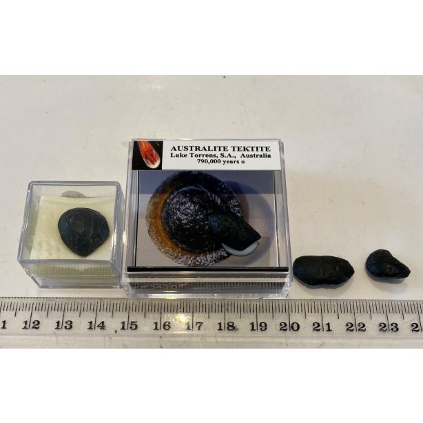 Lake Torrens Tektites ROF22