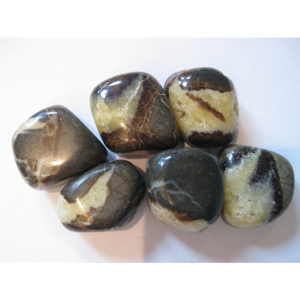 Septarian Tumbled