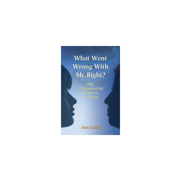 WHAT WENT WRONG WITH MR RIGHT