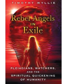 Rebel Angels in Exile