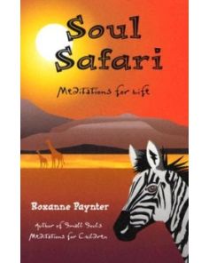 SOUL SAFARI