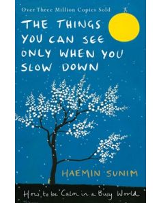 Things You Can See Only When You Slow Down, The