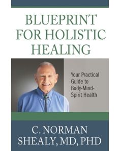 Blueprint for Holistic Healing