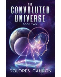 Convoluted Universe - Book 2