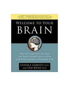 WELCOME TO YOUR BRAIN