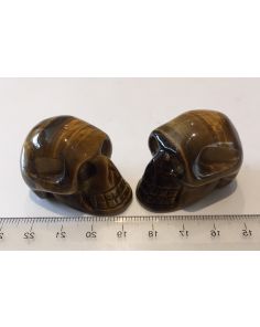Tigers Eye Skull CC328