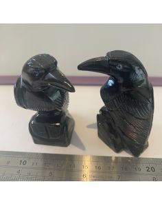  Black Obsidian Large Crow CC604