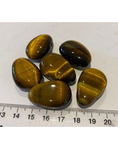 Tigers Eye Tumble Pendant CC69