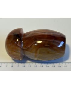 Carnelian Mushroom CM582