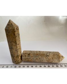 Orthoceras Generator CW247