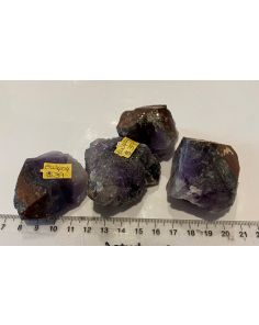 Auralite Points CW404