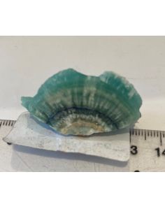 Hemimorphite CW491