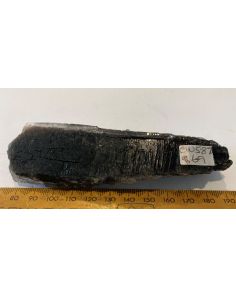 Smokey  Quartz Generator CW587