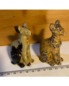 Picture Jasper Sphinx Cat CW377