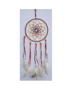 Sunburst Pink with feathers.