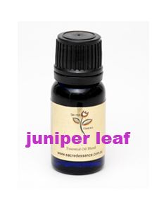 juniper leaf essential oil