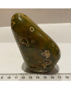 Ocean Jasper FL41