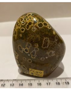 Ocean Jasper FL44