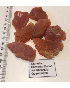 Carnelian Rough GT89