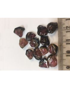 Watermelon Tourmaline Pieces IEC261B