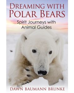 Dreaming with Polar Bears